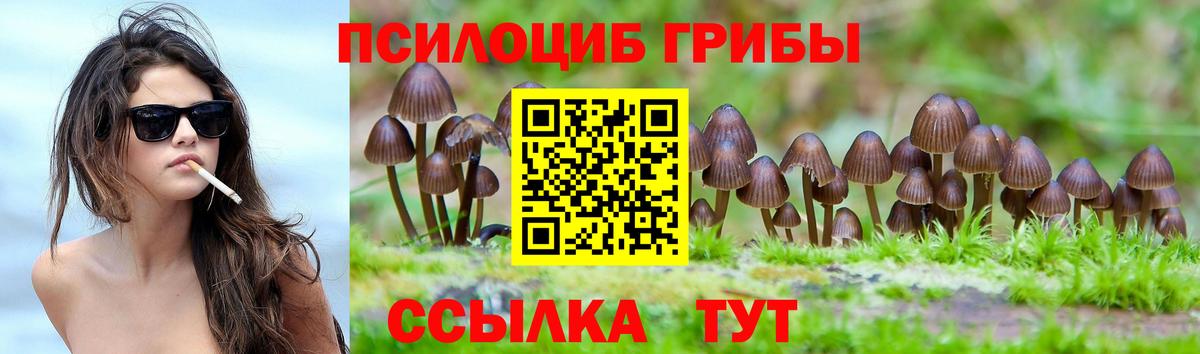 Псилоцибиновые грибы MAGIC MUSHROOMS  Псилоцибиновые грибы MAGIC MUSHROOMS  Вход с VPN  Кулебаки 